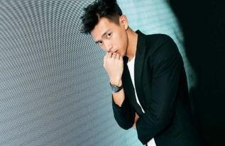 中戏男明星,盘点那些闪耀荧屏的男明星